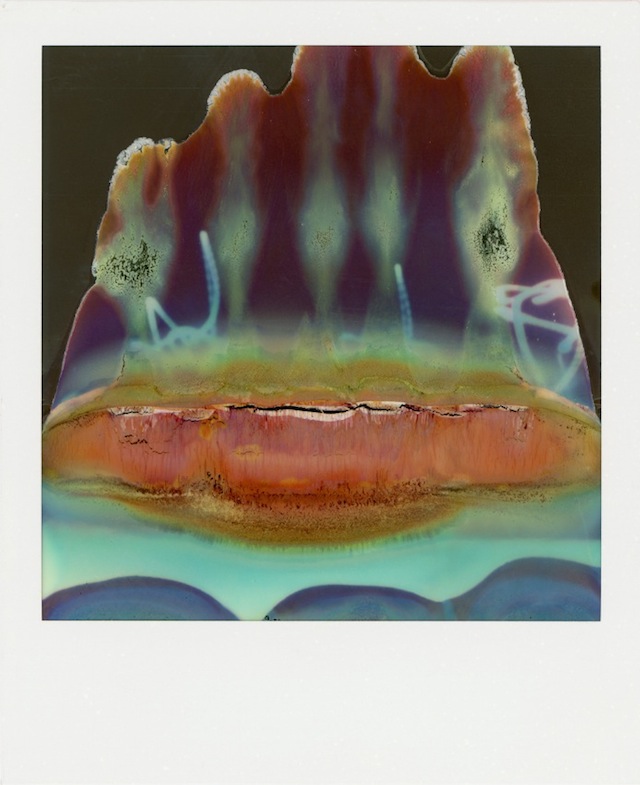 Polaroids_Caducadas-fotografia1