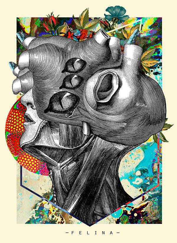 Collage de cara humana mezclada con organos humanos por el artista David Fallow