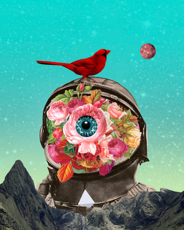 El arte del collage, astronauta con pajaros hecho por David Fallow