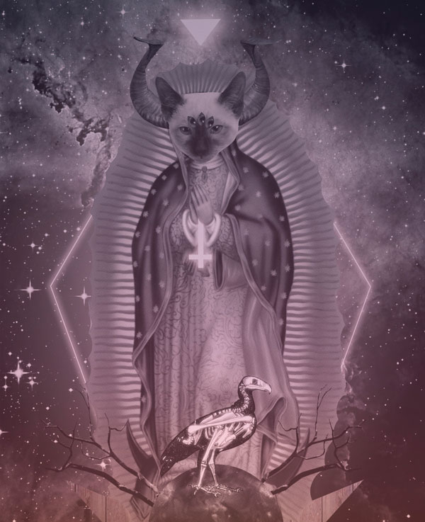 Collage de un gato representando a la virgen maria por David Fallow