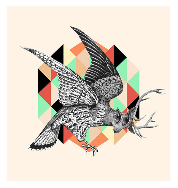 collage digital con aguilas de David Fallow