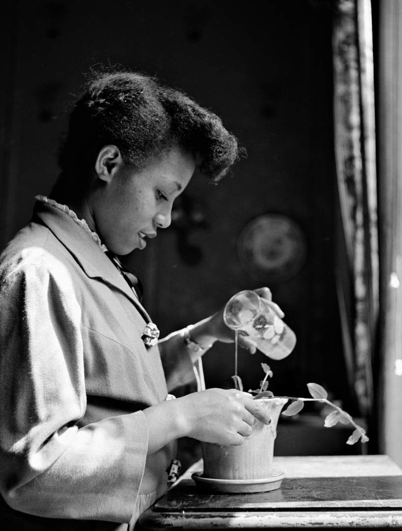 Midtowners: Mujer negra regando una planta, fotografía de gordon parks