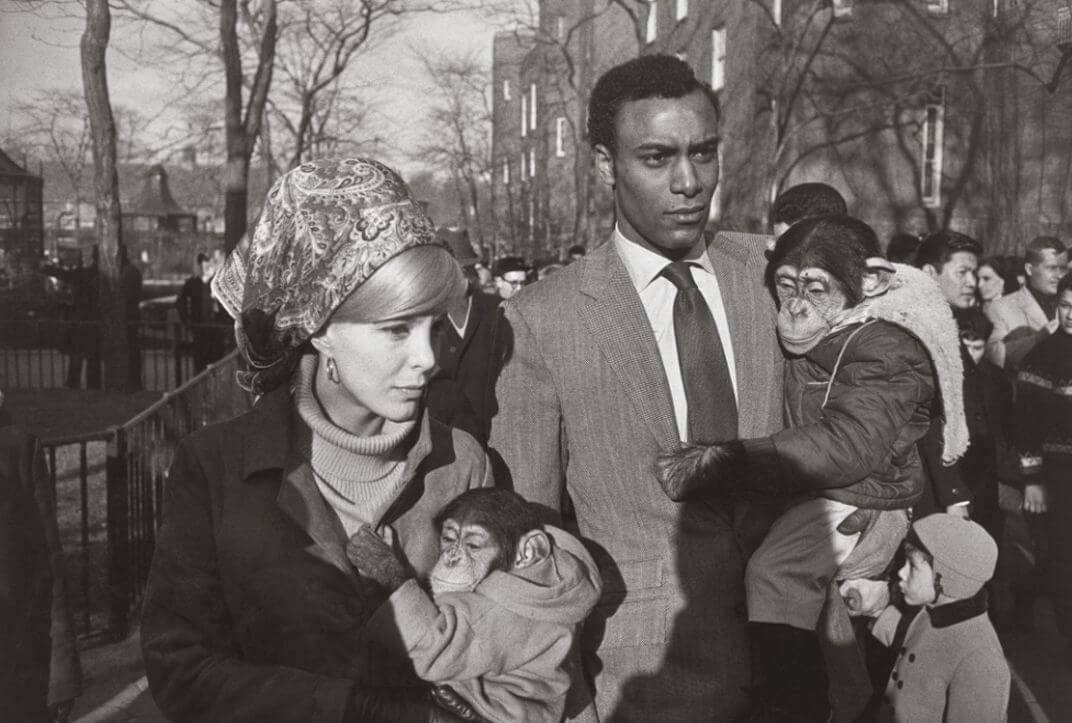 Una mujer y un hombre de color paseando con dos monos en sus brazos fotografiados por Garry Winogrand 