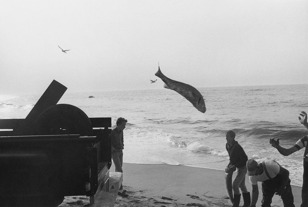 Fotografia de Pescadores tirando un pez al mar