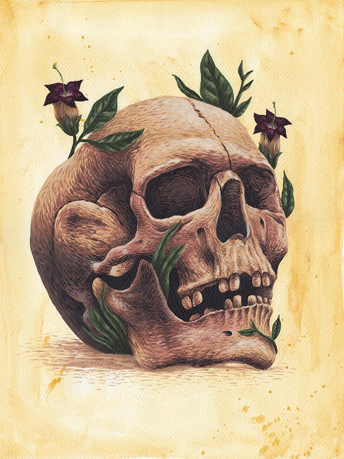 ilustración de calavera mexicana