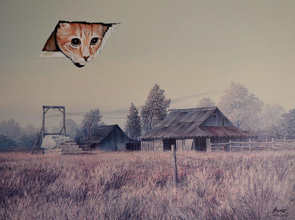 Cuadro de campo con un gato