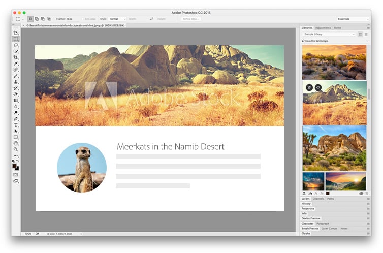 Modelo de como se ve la app adobe stock