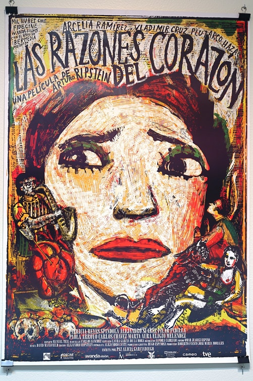Cartel de las razones del corazon de alejandro magallanes