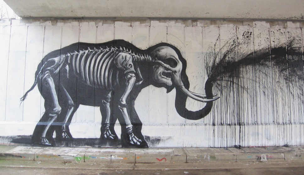Graffiti de Roa
