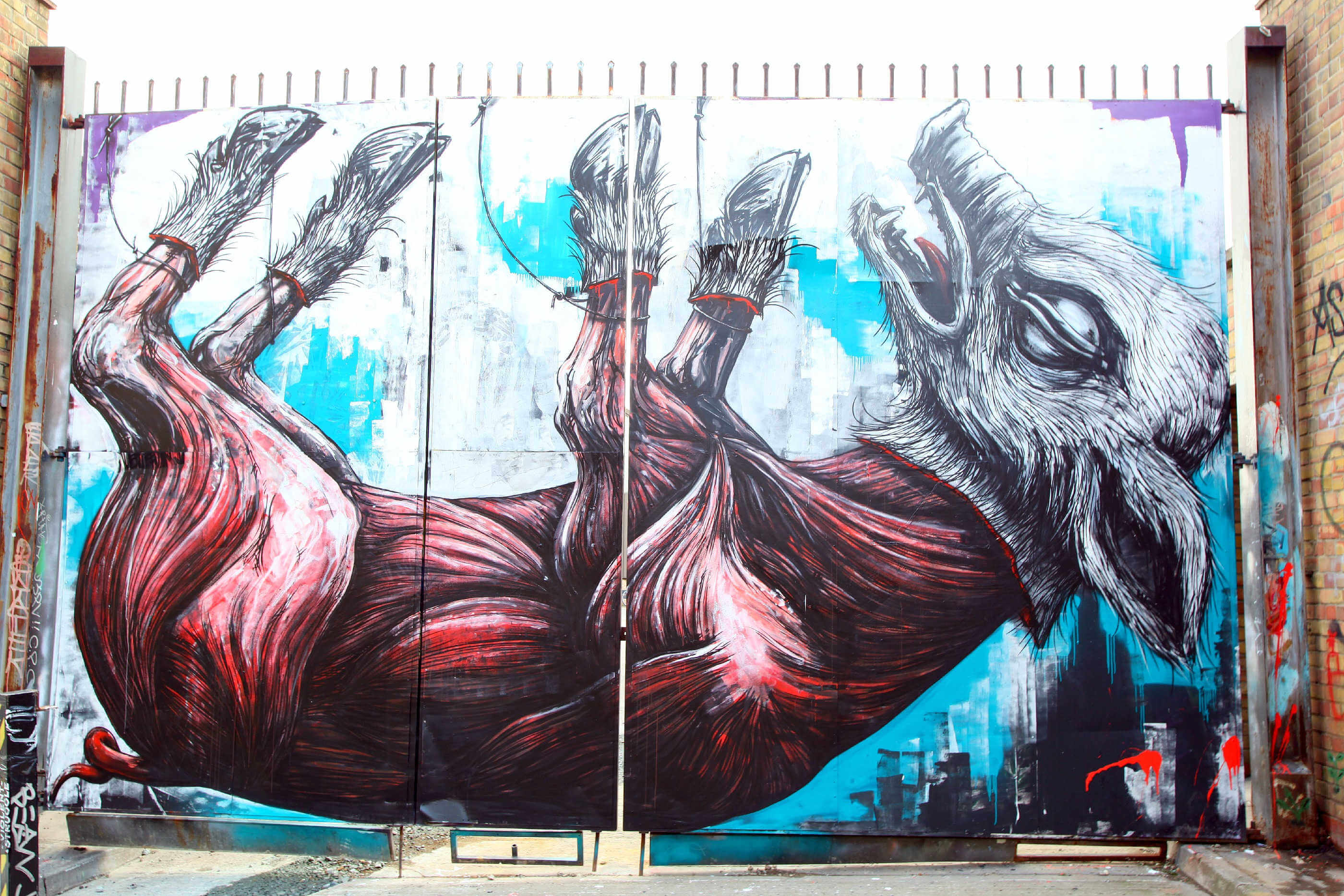 Roa street art pig