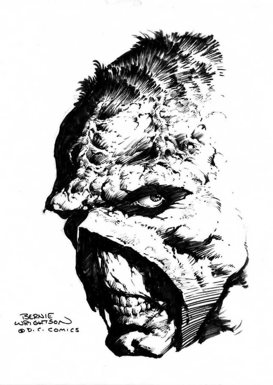 detalle de la la cara de la cosa del pantano ilustrada por Bernie Wrightson para dc comics