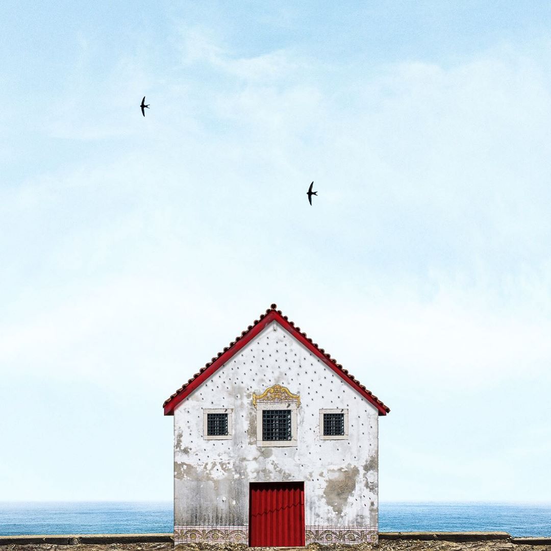 casa solitaria con pájaros