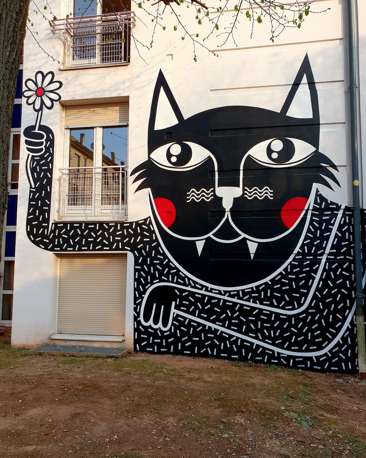 gato divertido joachim
