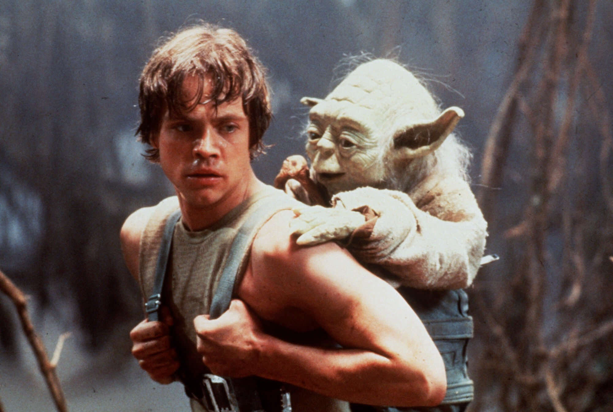 maestro y aprendiz, jedi y yoda