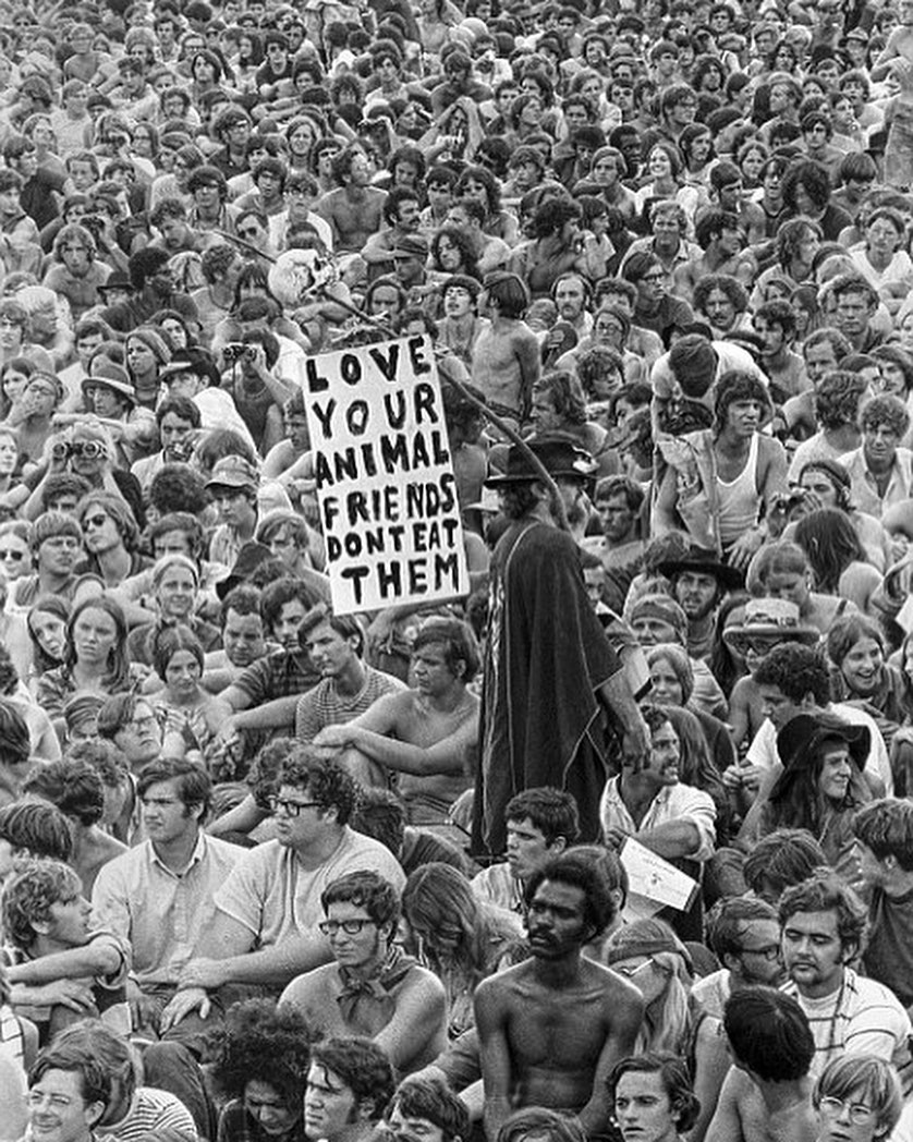 Políticas de amor en woodstock