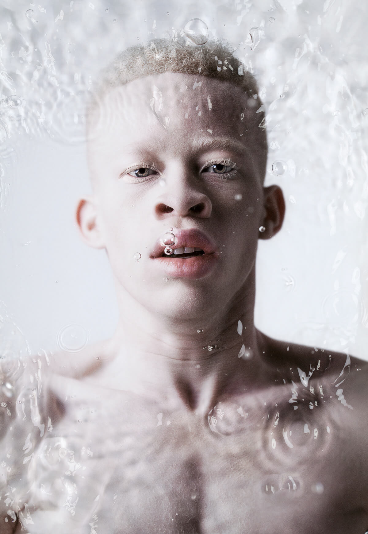 albus bajo el agua serie fotografica justin dingwall