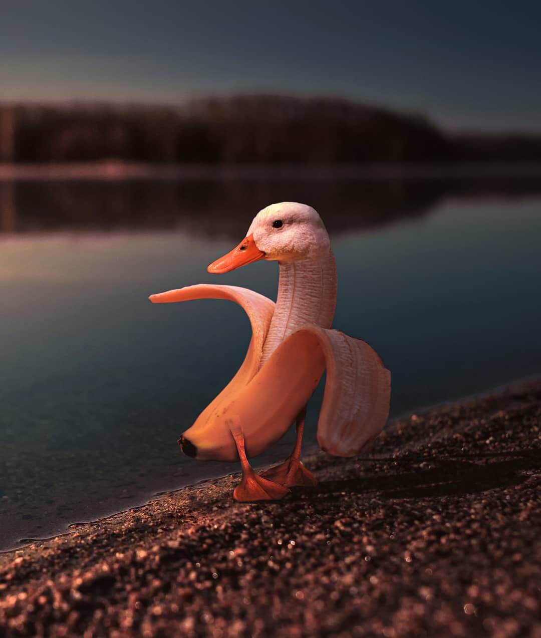 pato platano Ronald Ong