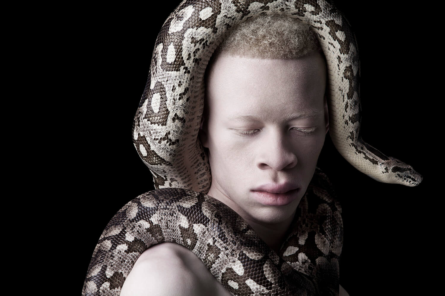 serie albus modelo con serpiente justin dingwall