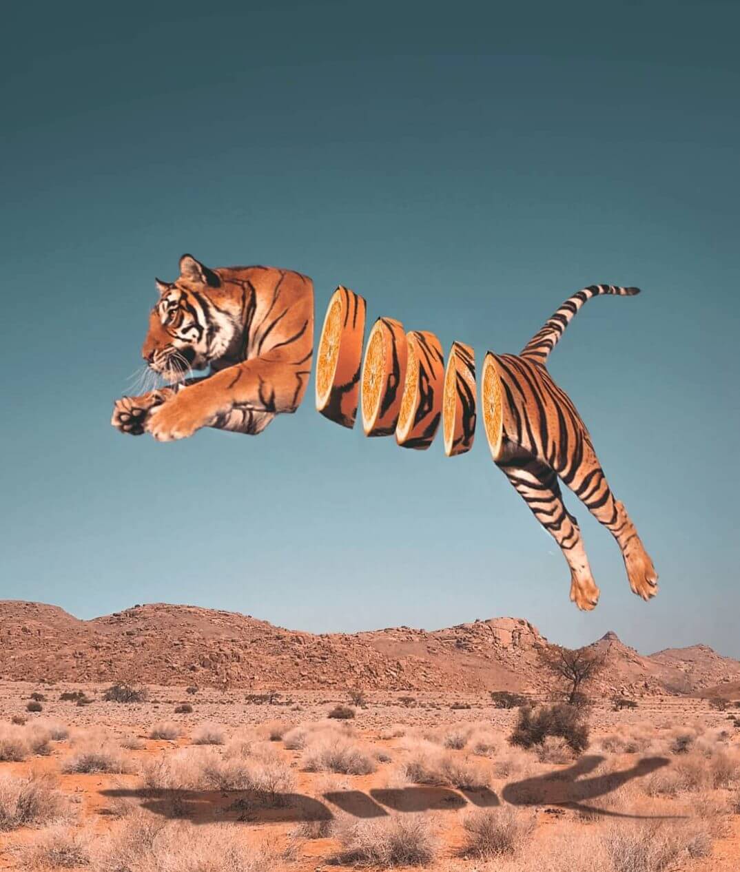 tigre naranja Ronald Ong