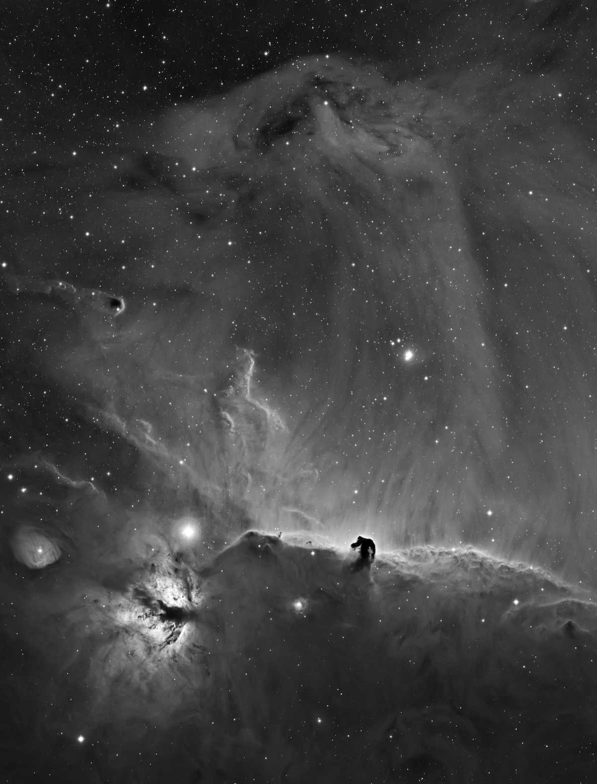 Fotografía astronómica A Horsehead Curtain Call” por Bob Franke (Estados Unidos)