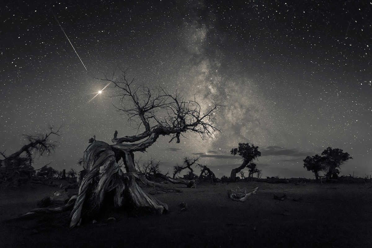 Across the Sky of History de Wang Zheng (China).