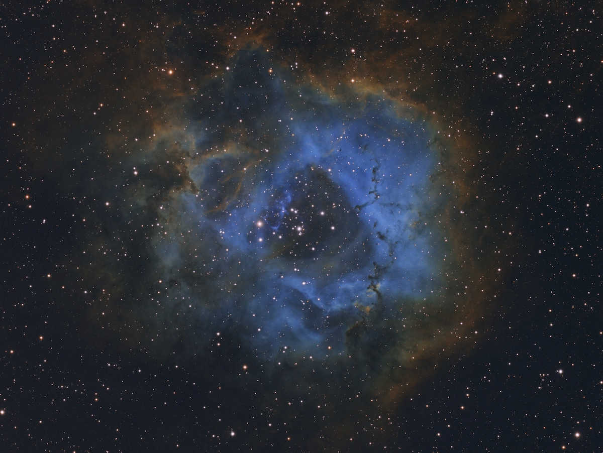 Fotografía astronómica Stellar Flower por Davy van der Hoeven (Holanda)