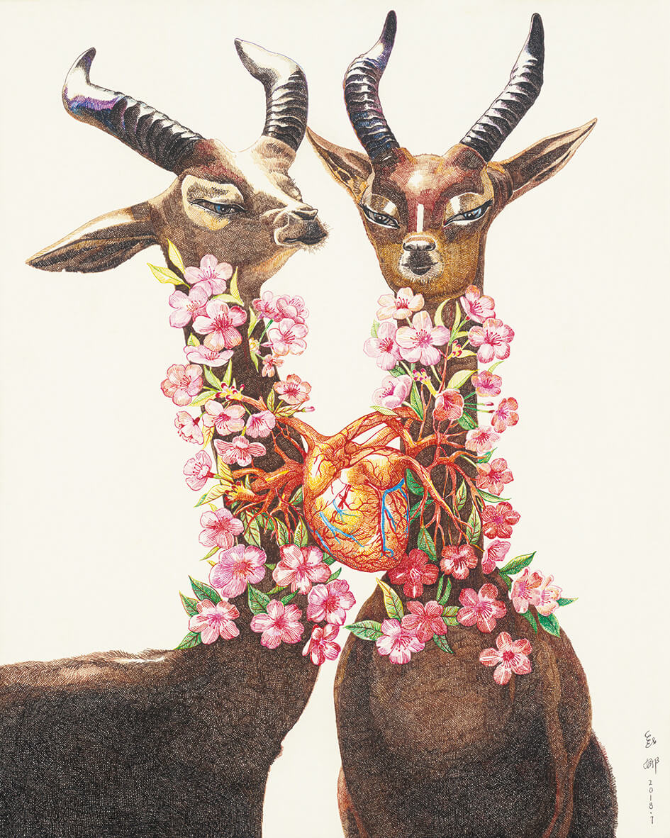 amor de animales zhao na