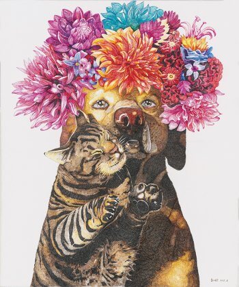 amor de gato y perro zhao na