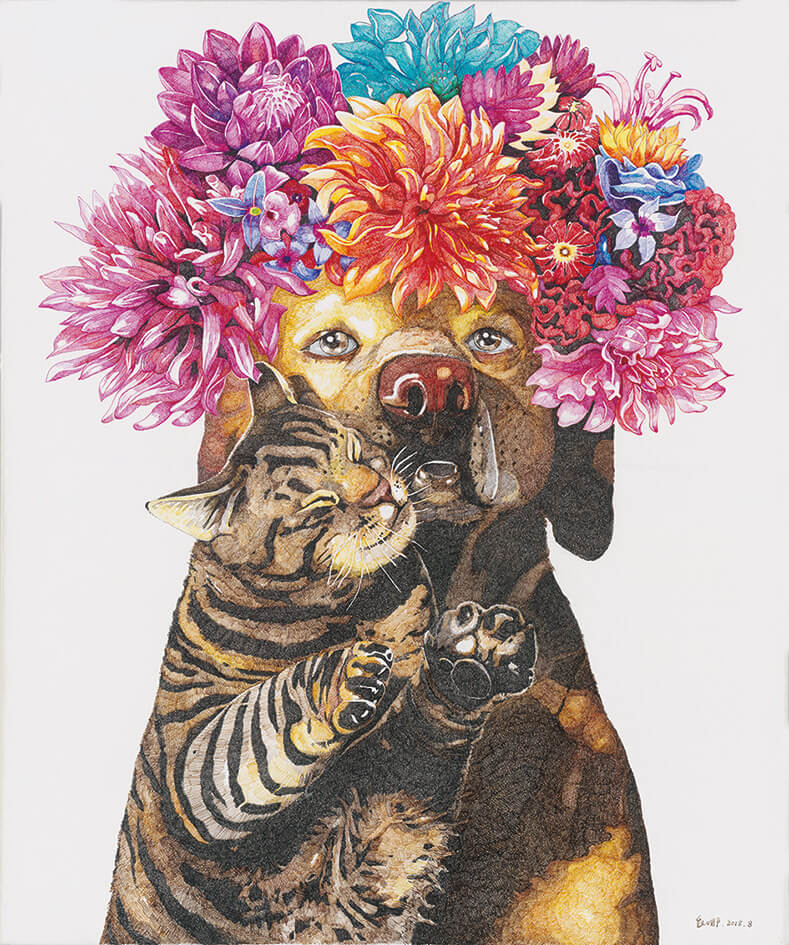 amor de gato y perro zhao na