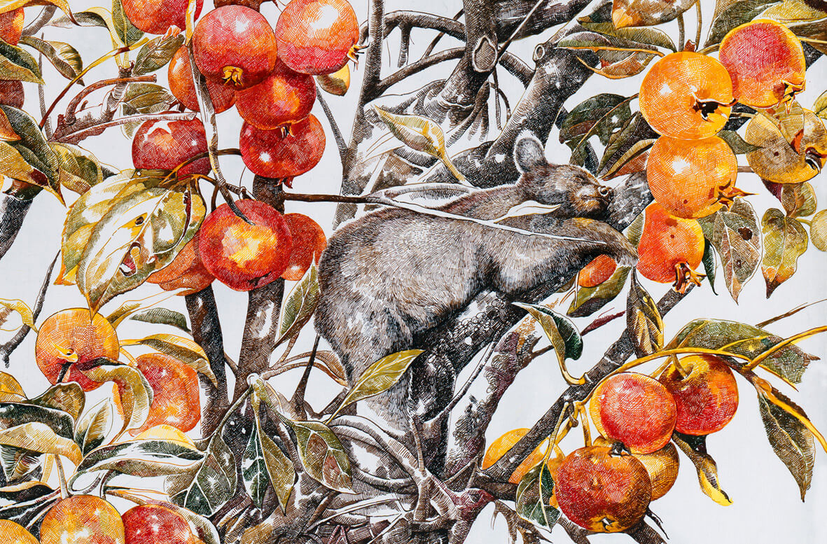 osito duerme en arbol con frutos Zhao Na