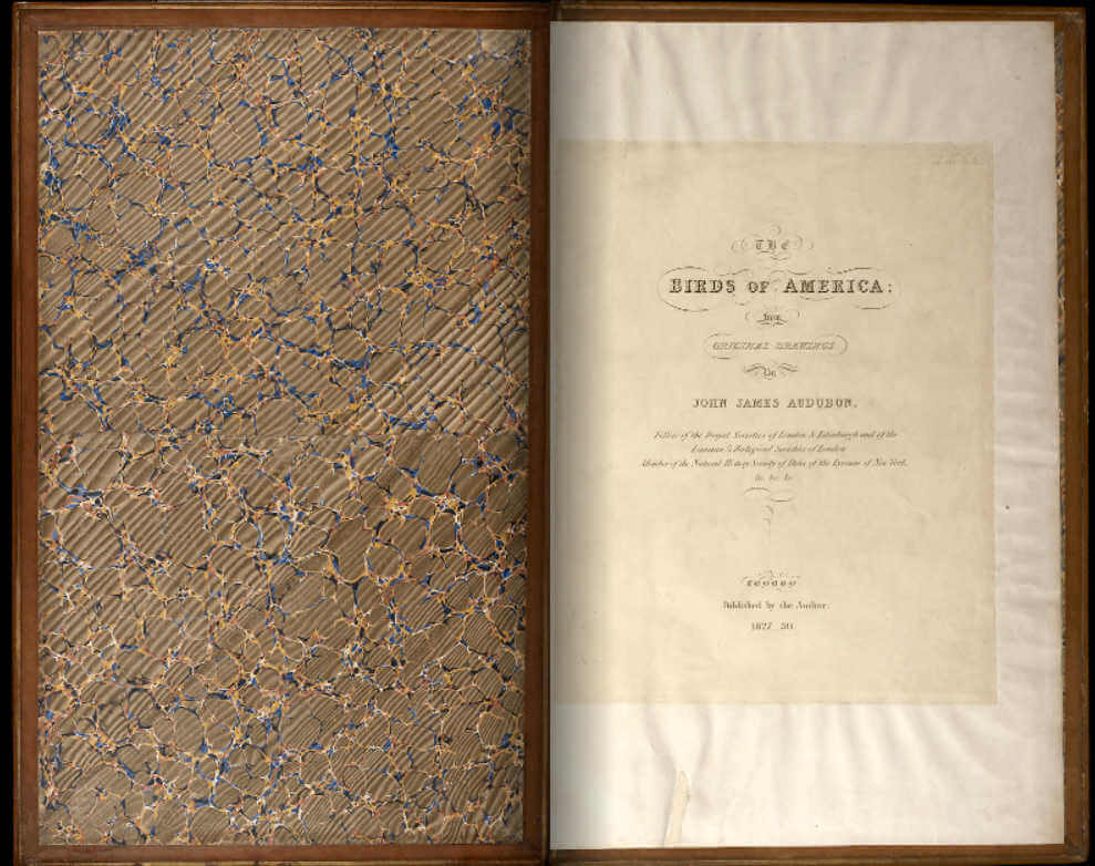 Portada de libro Birds of america