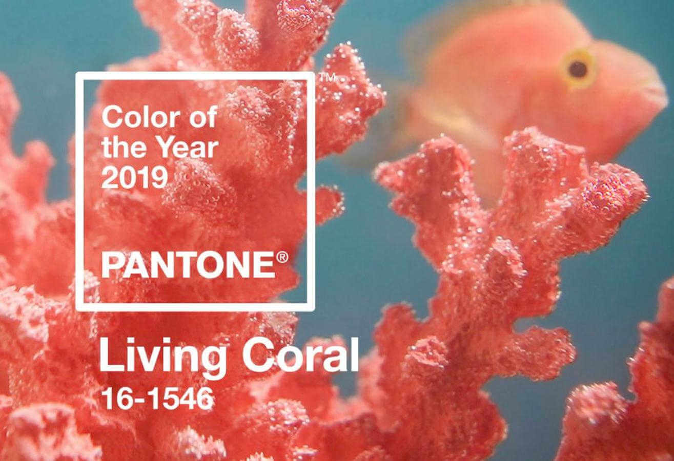 Pantone color of the year 2019 . living coral
