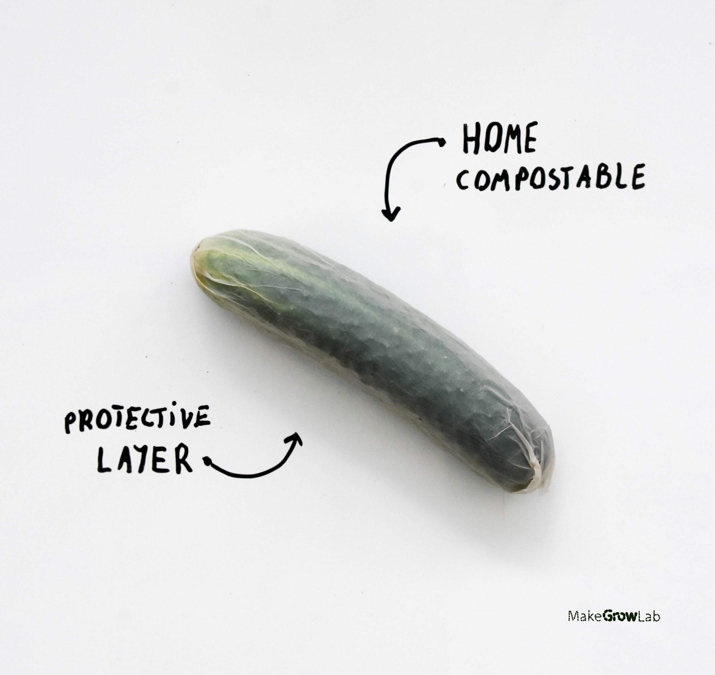empaque compostable