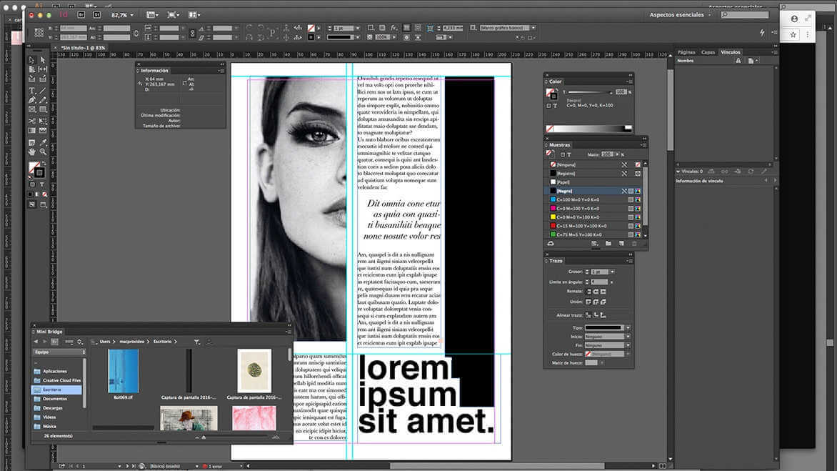 iNTERFACE DE ADOBE IN DESIGN