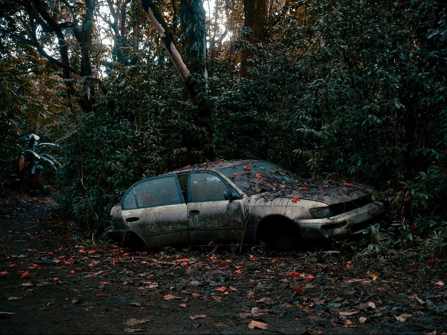 COCHES ABANDONADOS EN LA SELVA DE HAWAII