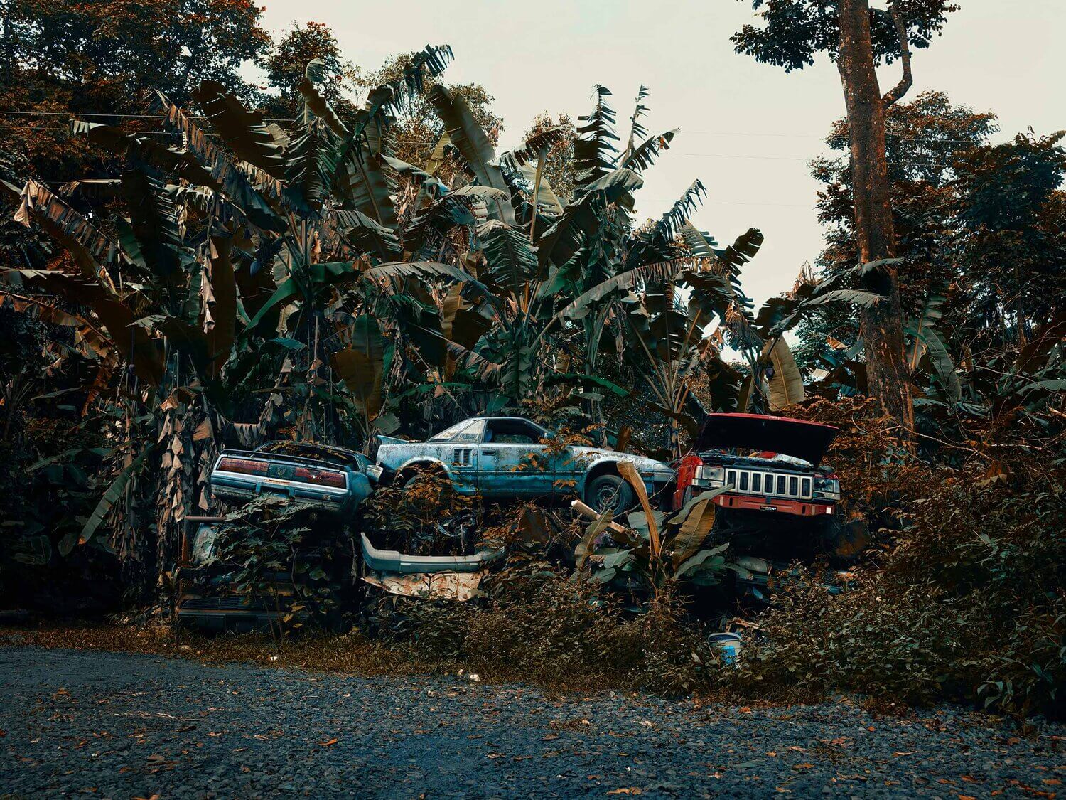 COCHES EN MAHUI SON TRAGADOS POR LA SELVA