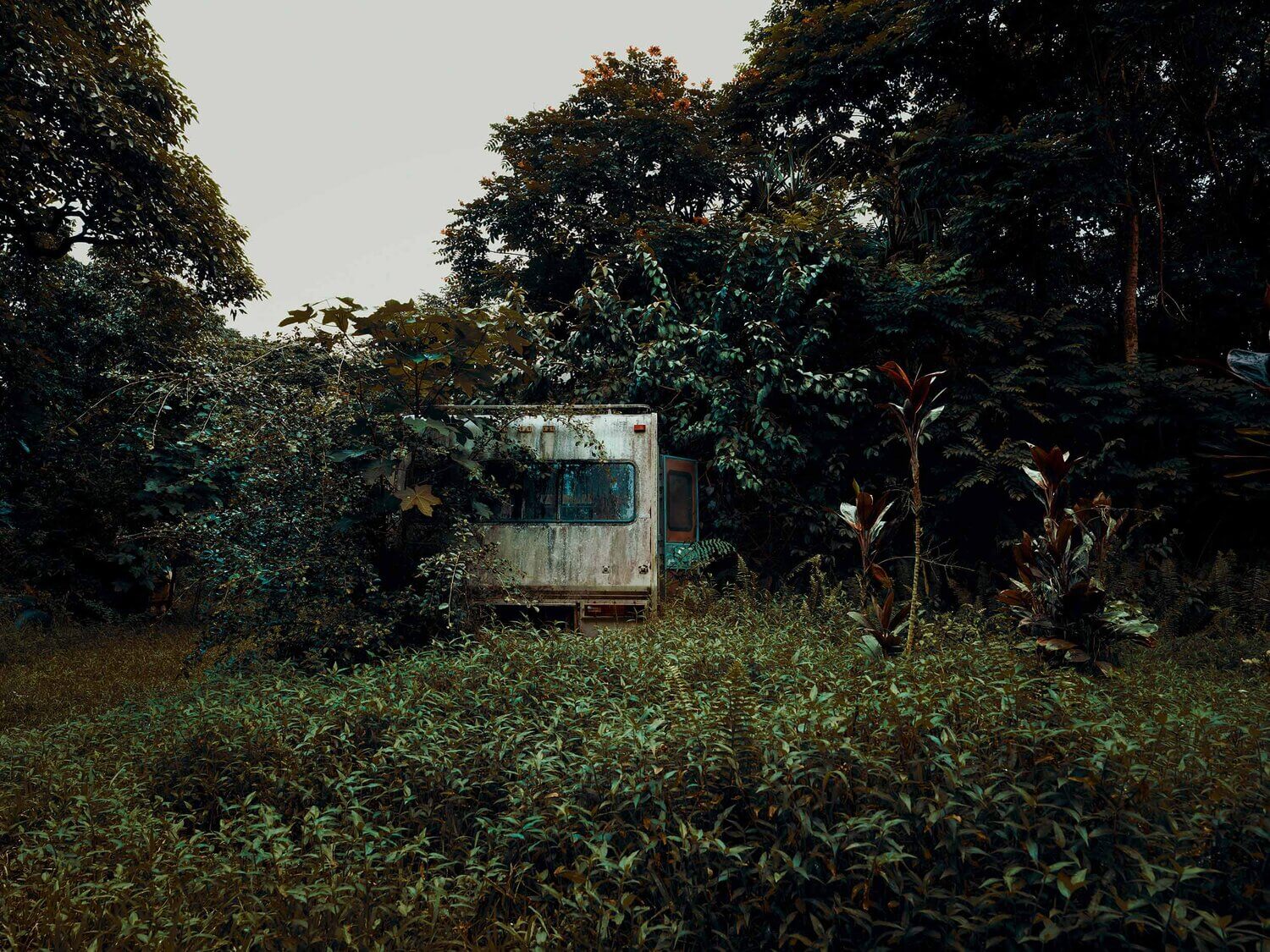 RAGADO POR LA NATURALEZA