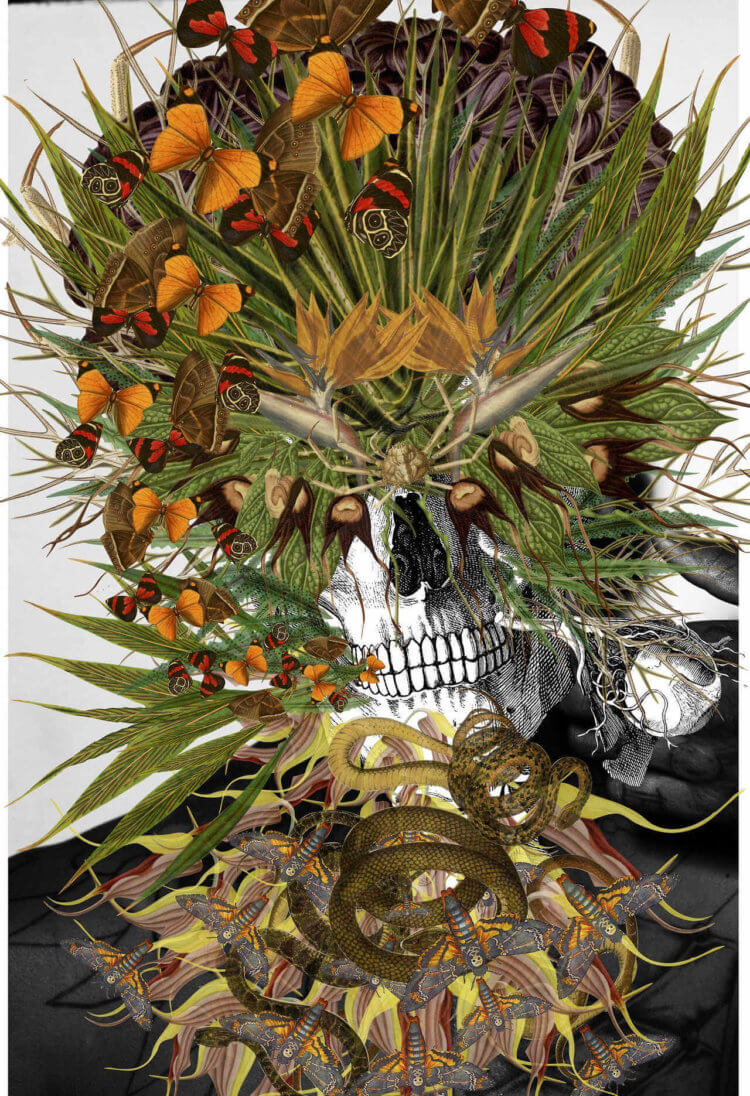 Collage hecho con calaveras y flores
