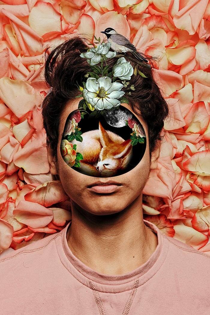 viviana pantoja collage mujeres