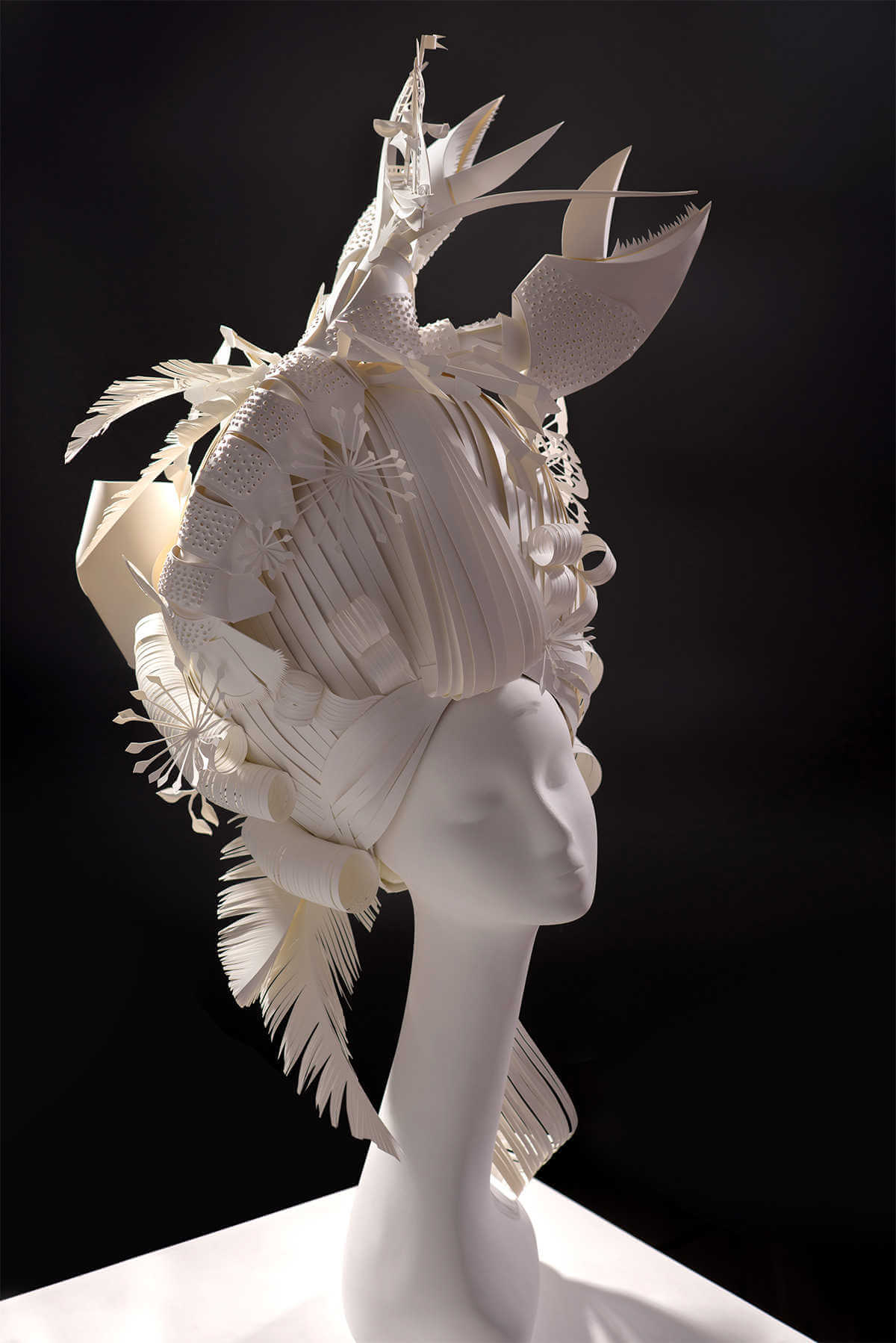 Peluca de papel con animales marinos