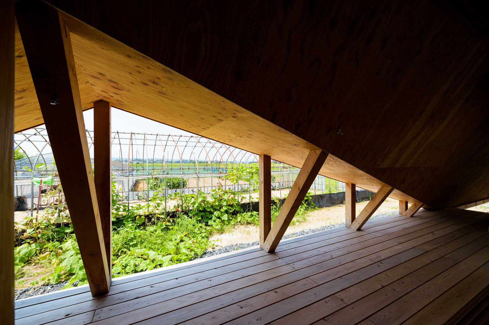 jardin de casa minimalista