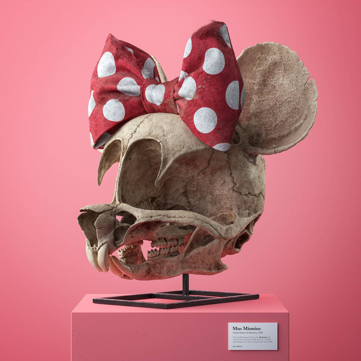 craneo en tres dimensiones de minnie hecho por el artista Filip Hodas