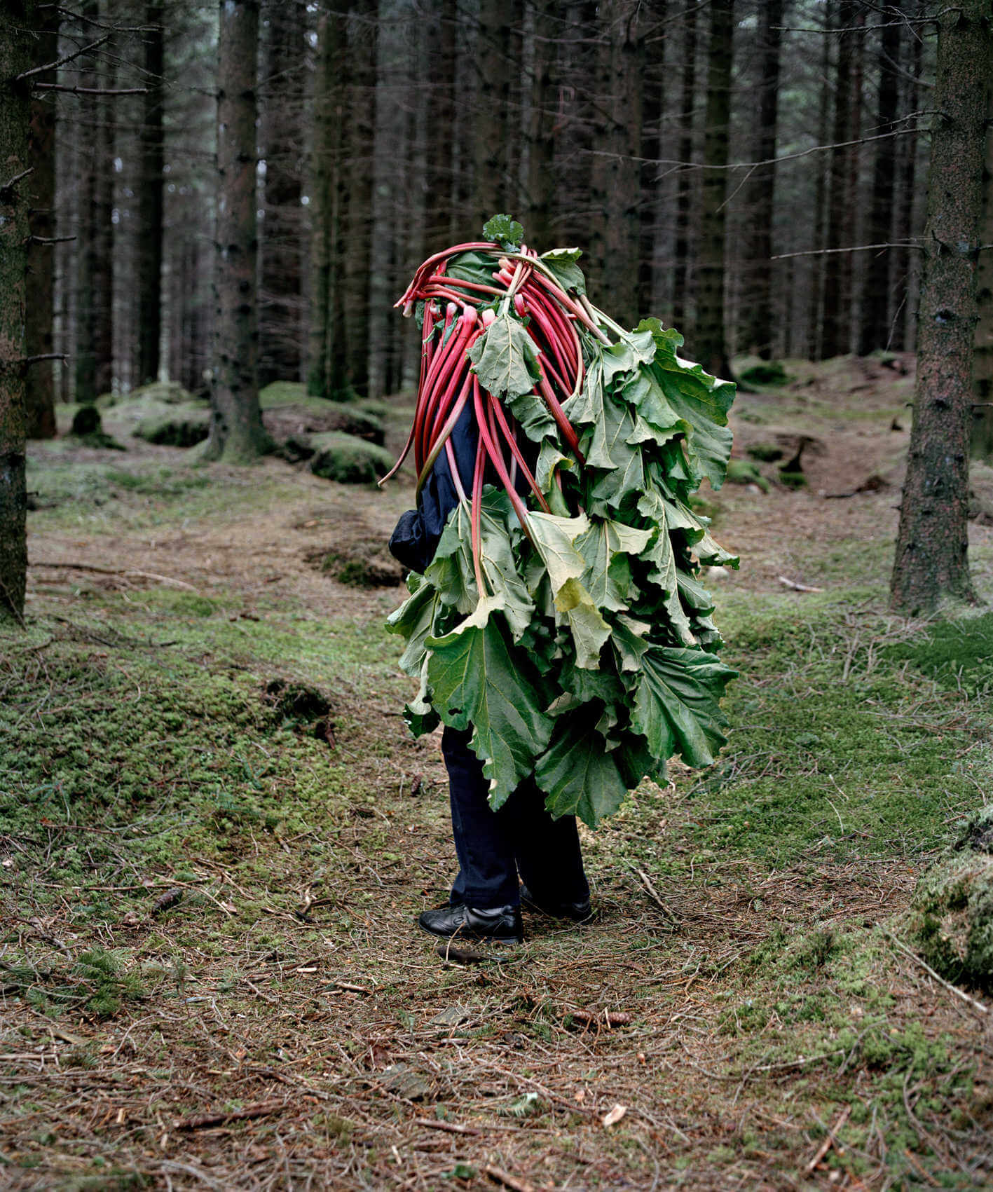 hombre lleno de ojas de arboles