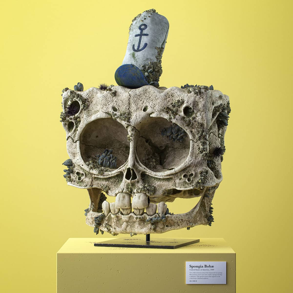 craneo en 3d de bob esponja hecho por Filip Hodas