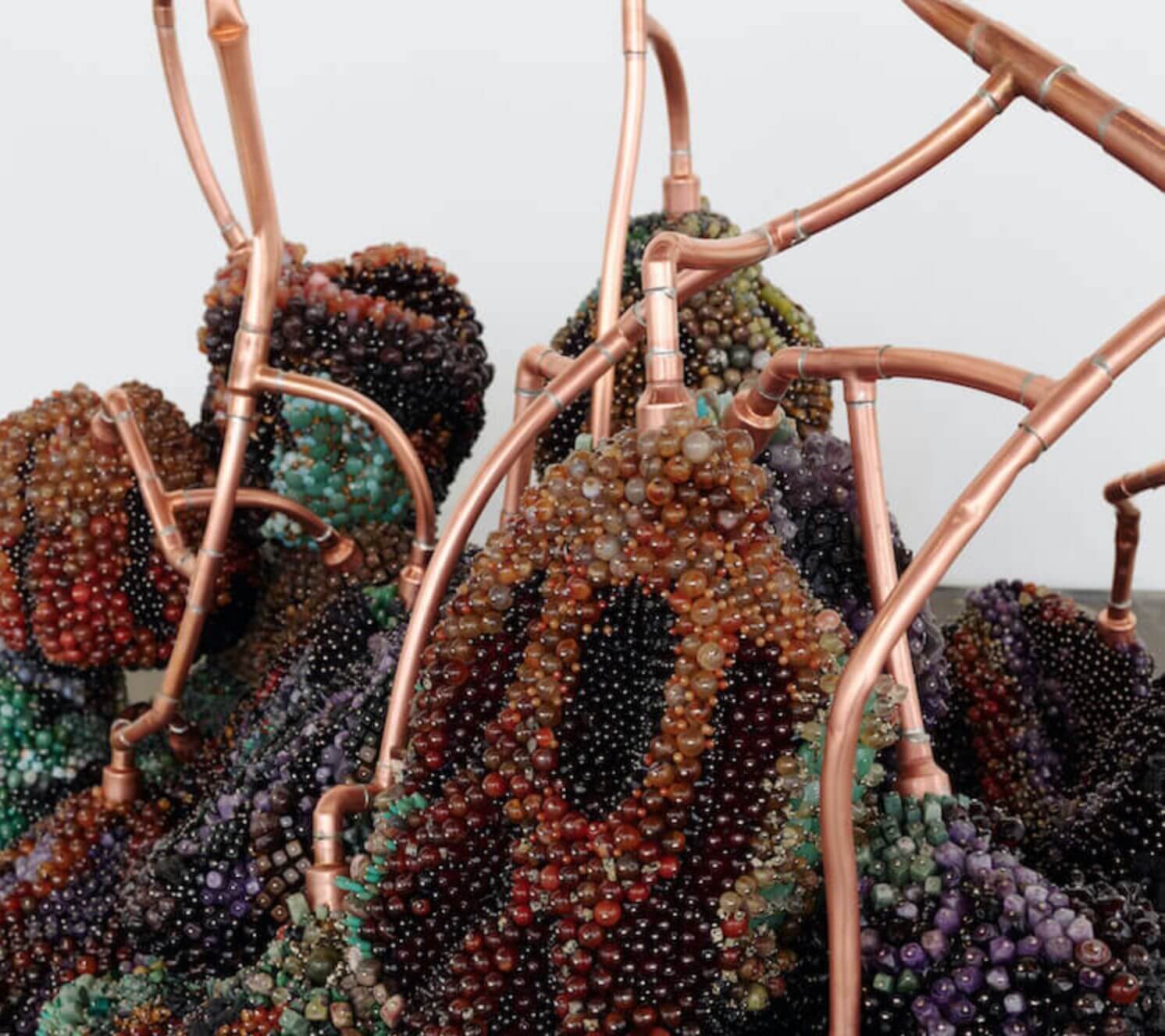 detalle uvas moho KATHLEEN RYAN