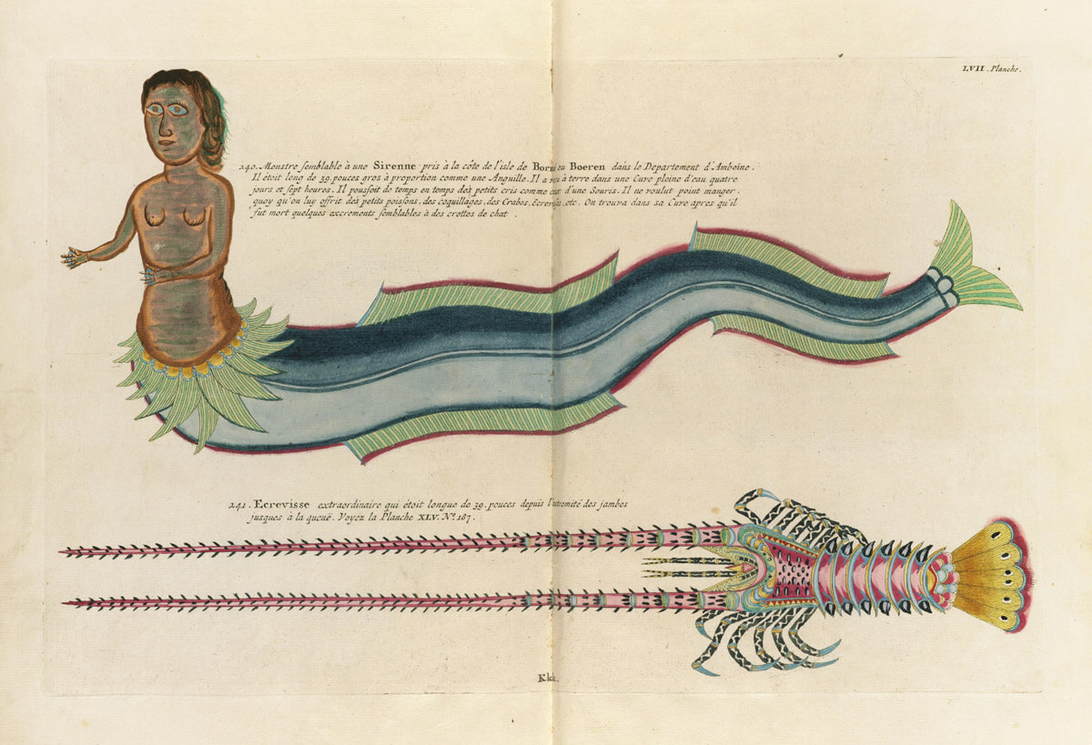sirena de Louis Renard