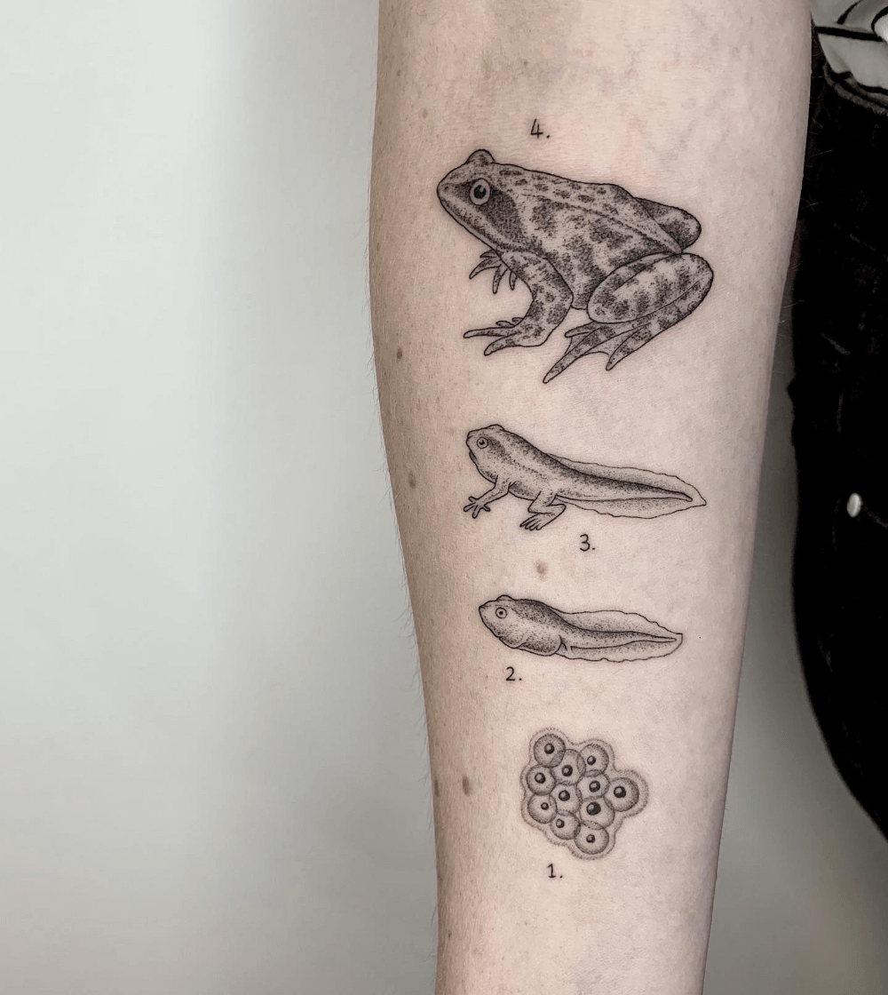 tattoo volpi rana