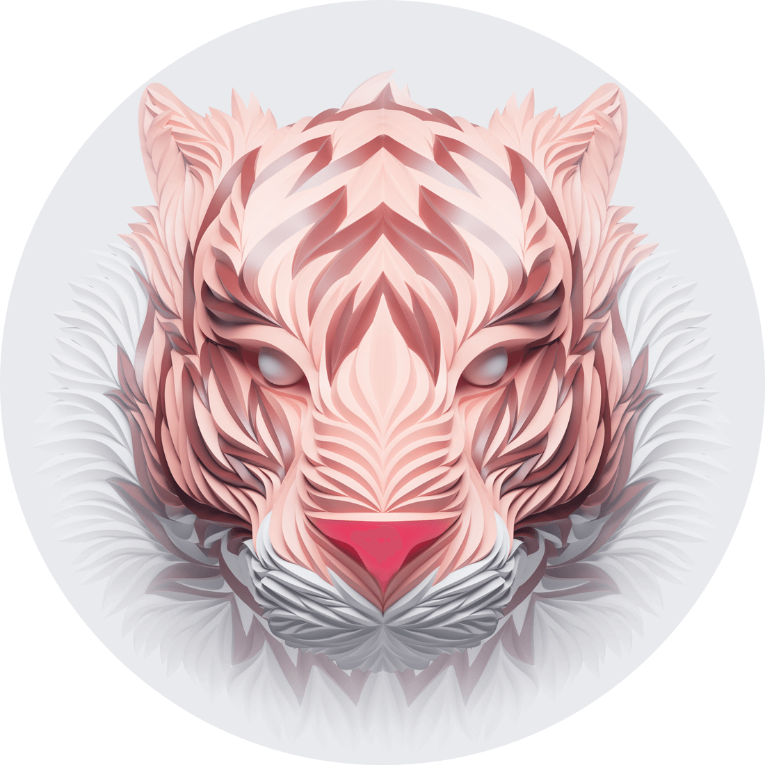 tigre rosa max shkret