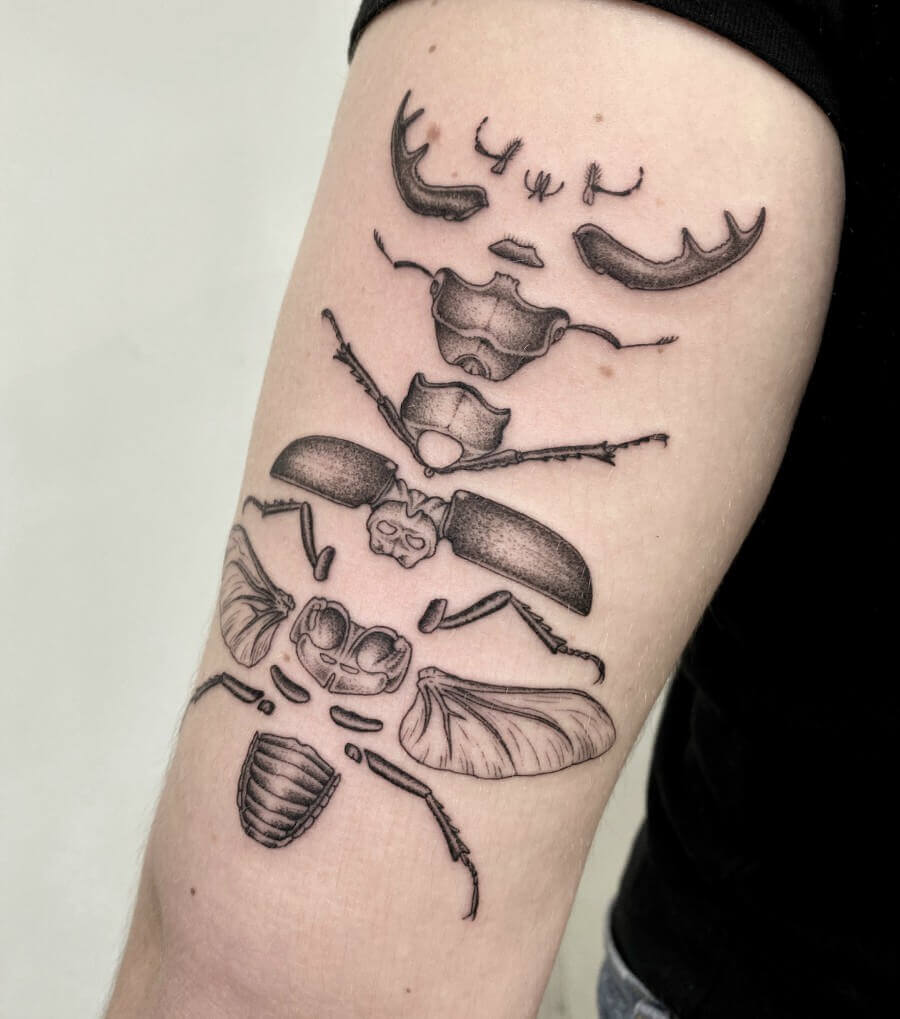 volpi tatuaje ciencia