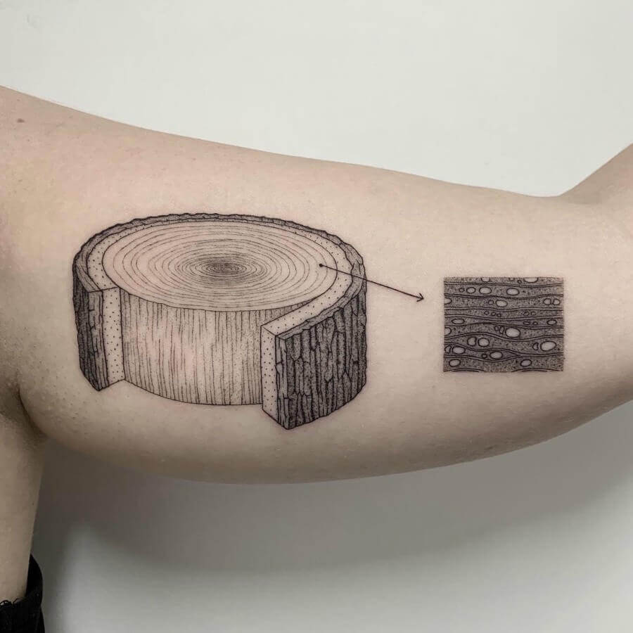 volpi tatuaje naturaleza